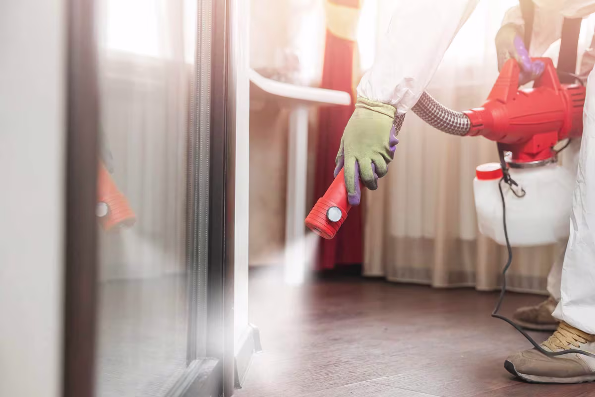 Exterminators near me Pest Control