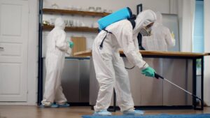 Greenix Pest Control
