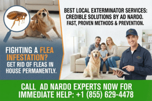 Get Rid of Fleas in house