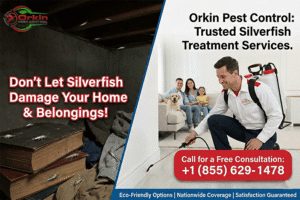 Silverfish Pest Control Treatment Services
