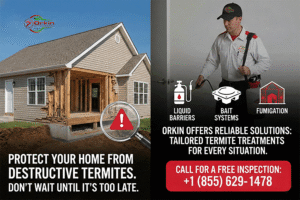 How many types of termite treatments