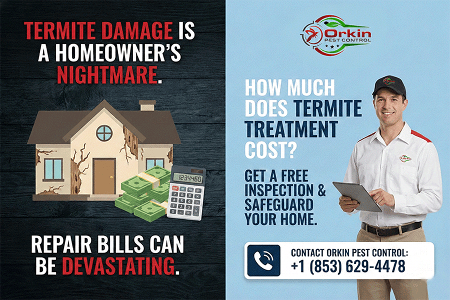 How Much Does Termite Treatment Cost