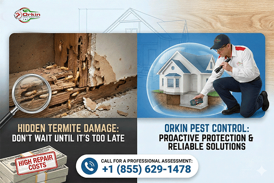 Prevent termite damage repair cost