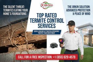 Top Rated Termite Control Services