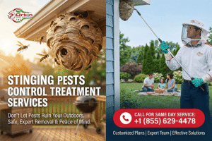Stinging Pests Control Treatment Services