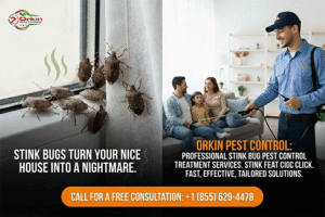Stink Bugs Pests Control treatment Services