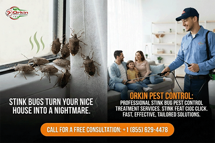 Stink Bugs Pests Control treatment Services