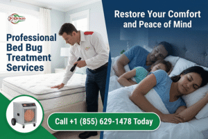 bed bug treatment services near me