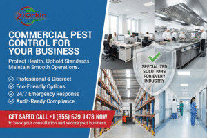 commercial pest control