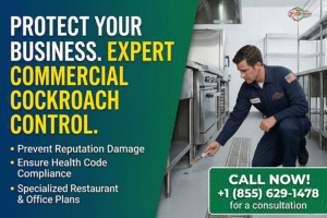 Commercial Cockroach Control