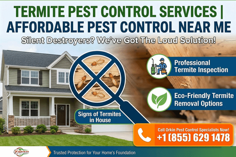Termite Pest Control Services | Affordable Pest Control Near Me
