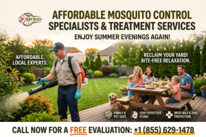 Affordable mosquito control specialists