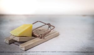 Rat Extermination Services Near You — Rat Extermination Services Near You: Complete 2026 Guide — Photo by ClickerHappy on Pexels