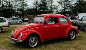 bed bugs in car how to get rid of — Bed Bugs In Car: Expert Removal for 2026 — Photo by Emanuel Pedro on Pexels