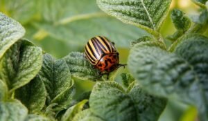 Best Natural Cockroach Control — Best Natural Cockroach Control: Ultimate 2026 Guide — Photo by Pixabay on Pexels
